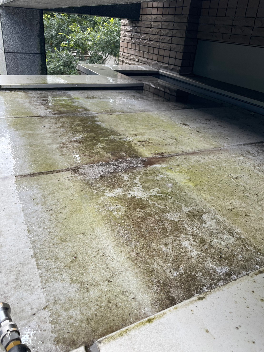 熊本市中央区マンションエントランス天井洗浄前